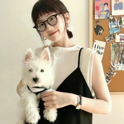 双镯